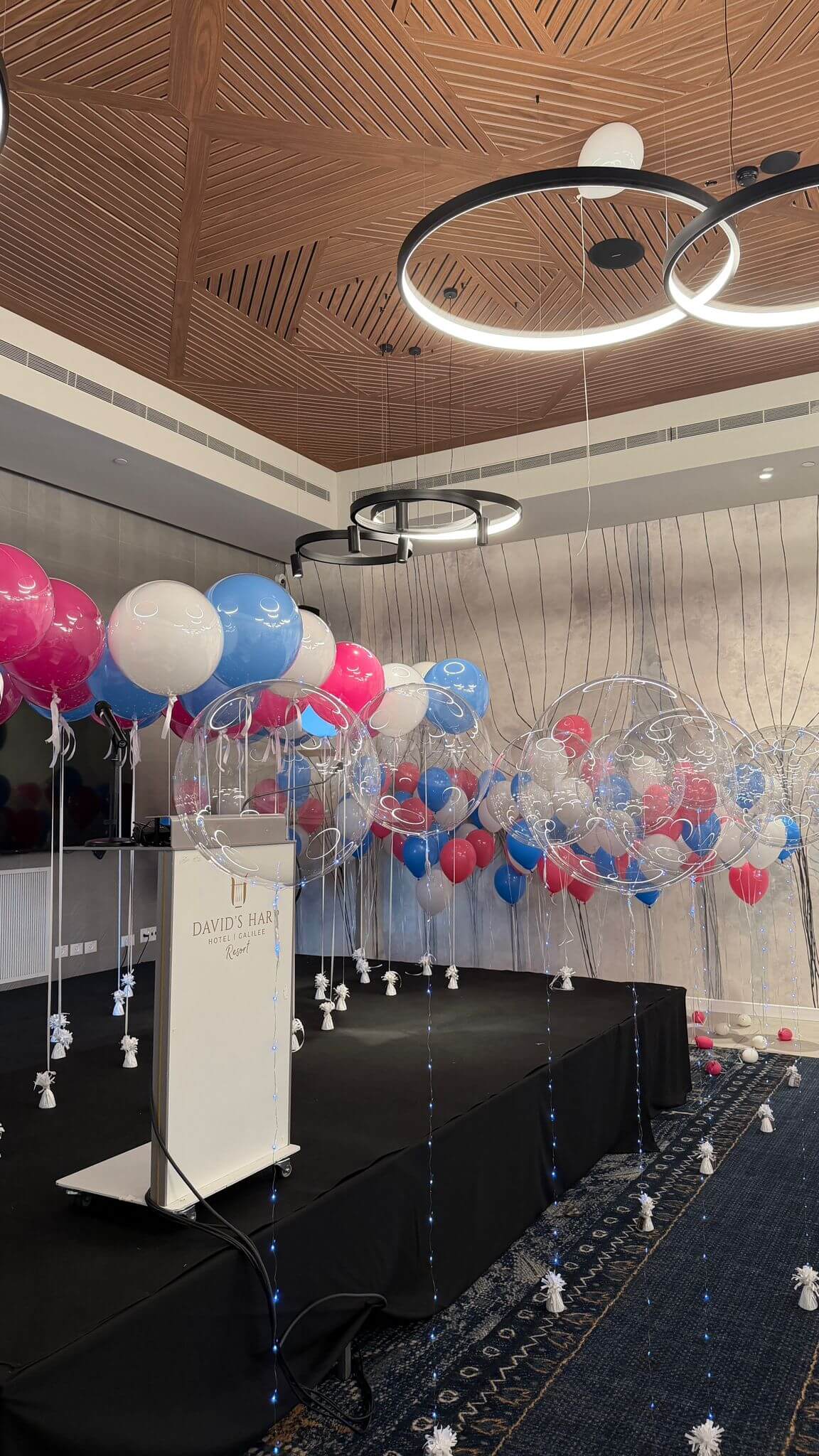 בלונים ממותגים — דגם 8651