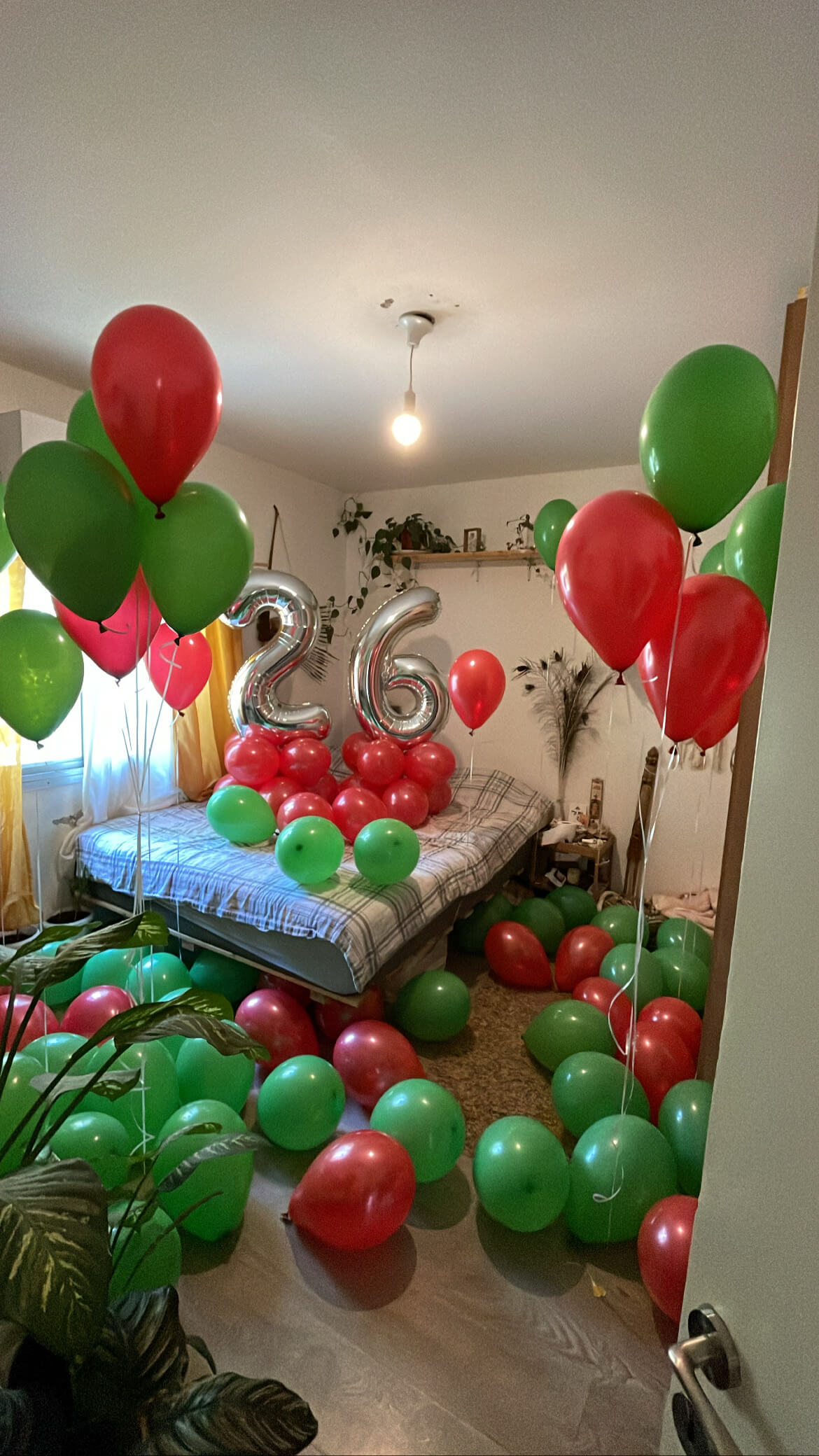 בלונים ליום הולדת — דגם 8510